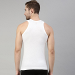 Men Solid Regular Vest